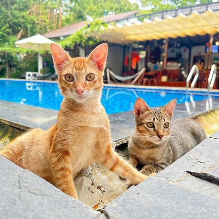 Villa Have Fun Phú Quốc Exterior foto