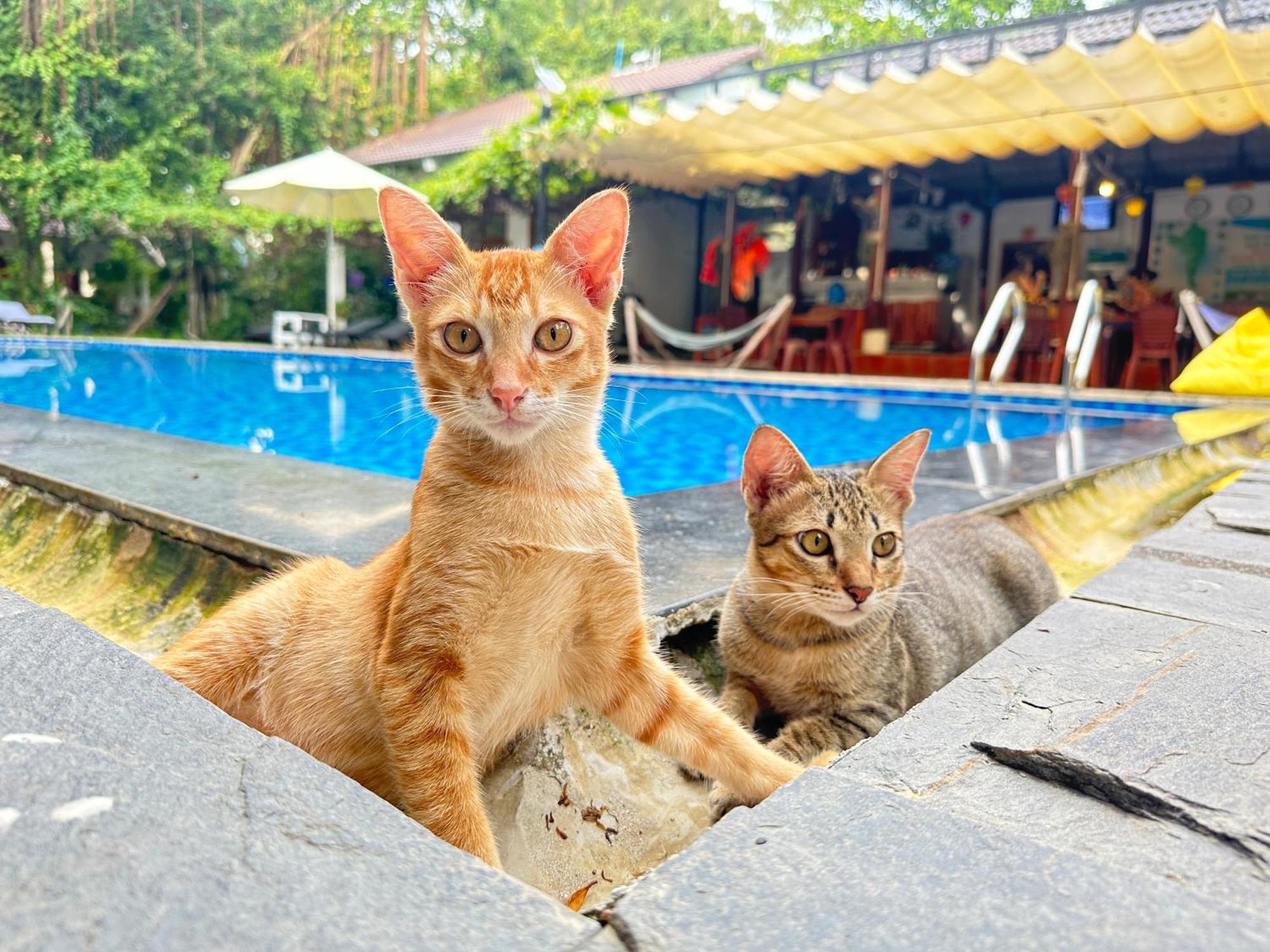 Villa Have Fun Phú Quốc Exterior foto